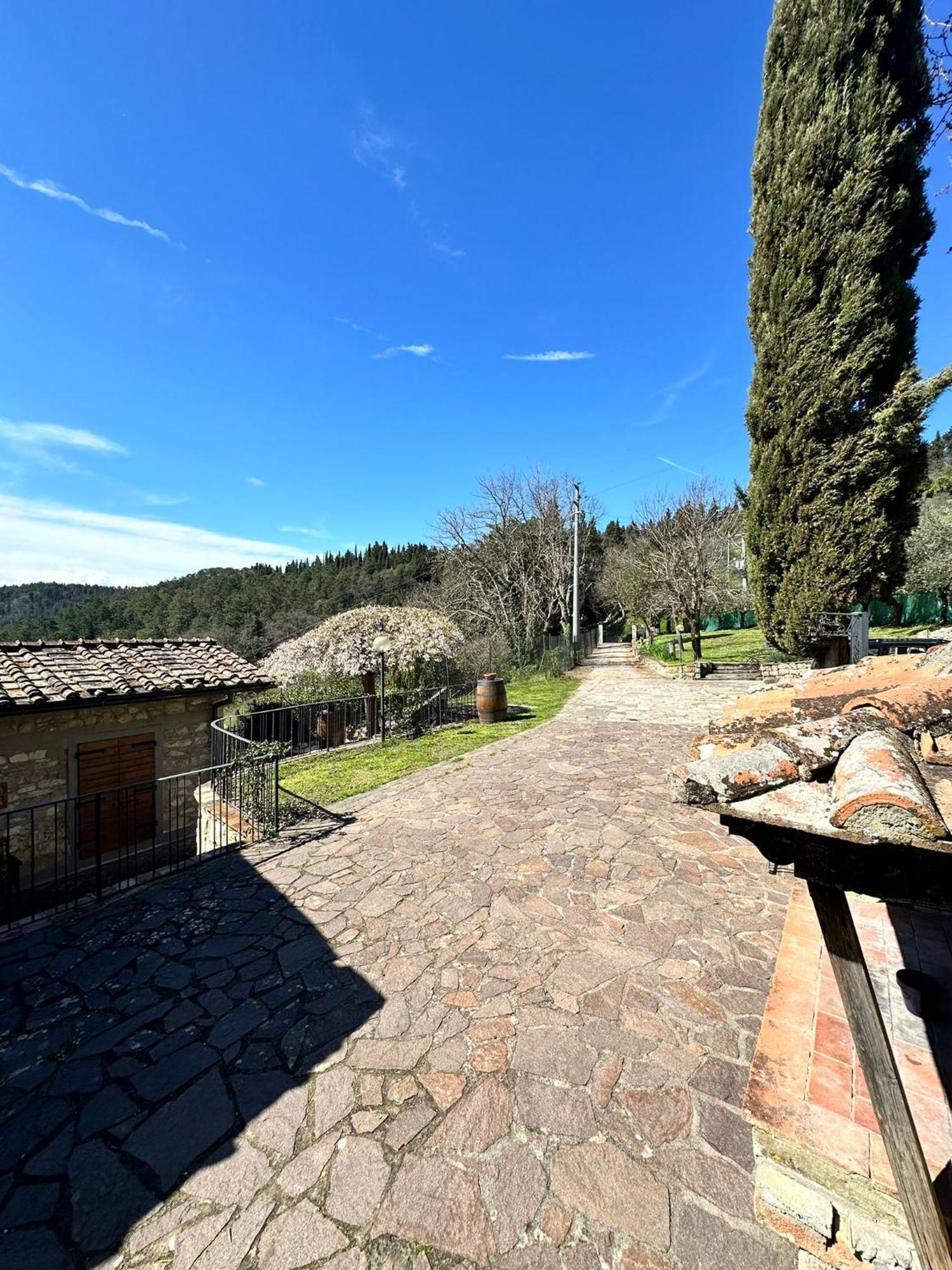 Agriturismo Tassinaia Понтассьеве Экстерьер фото